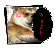 842133256