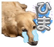 842133361