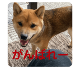 842133589