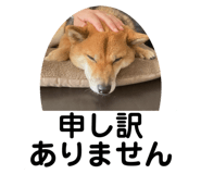 842133590