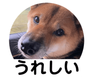 842133597