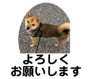 842133599