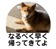842133602