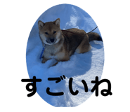 842133605