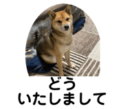 842133609