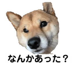 842133612
