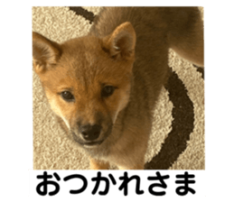 842133613