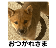 842133613