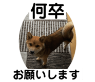 842133614