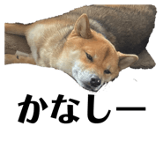 842133617