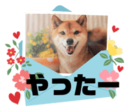 842133623