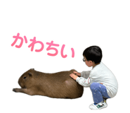842133654