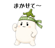 842133816