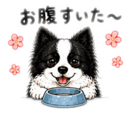 842133974