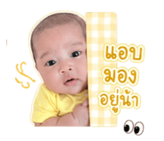 842134500