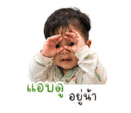 842135536