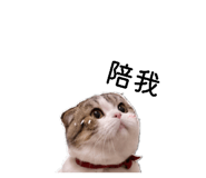 842135554