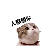 842135560