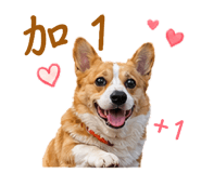 842135778