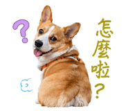 842135782