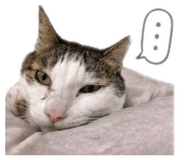 842135827