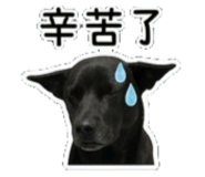 842135846