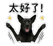 842135848