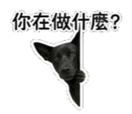 842135854