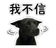 842135858