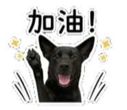 842135861