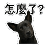 842135863