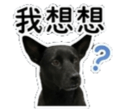 842135864