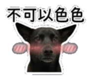 842135869