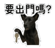 842135870