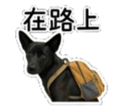 842135871