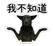 842135873