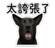 842135874