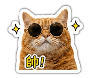 842135955