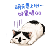 842136033