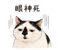 842136064