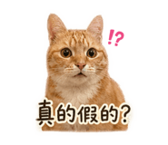842136871