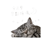 842137566