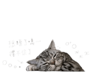 842137572