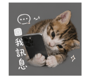 842137743