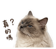 842138014