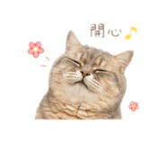 842138061