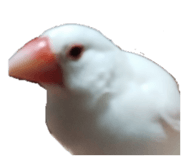 842138169