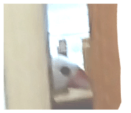 842138174