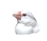 842138175