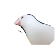 842138176